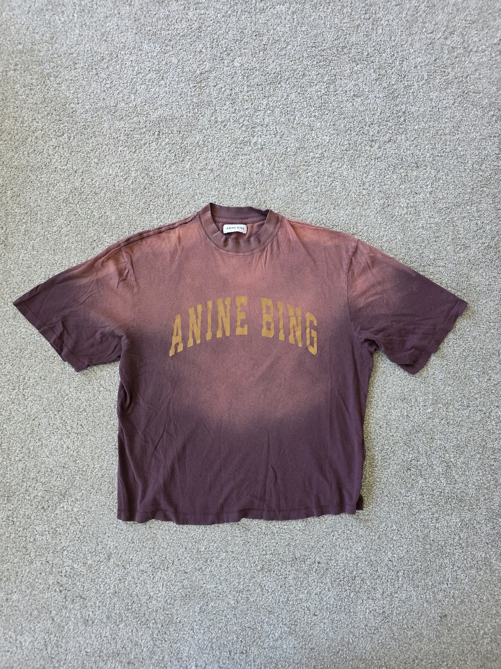 Anine Bing Faded Style Tee